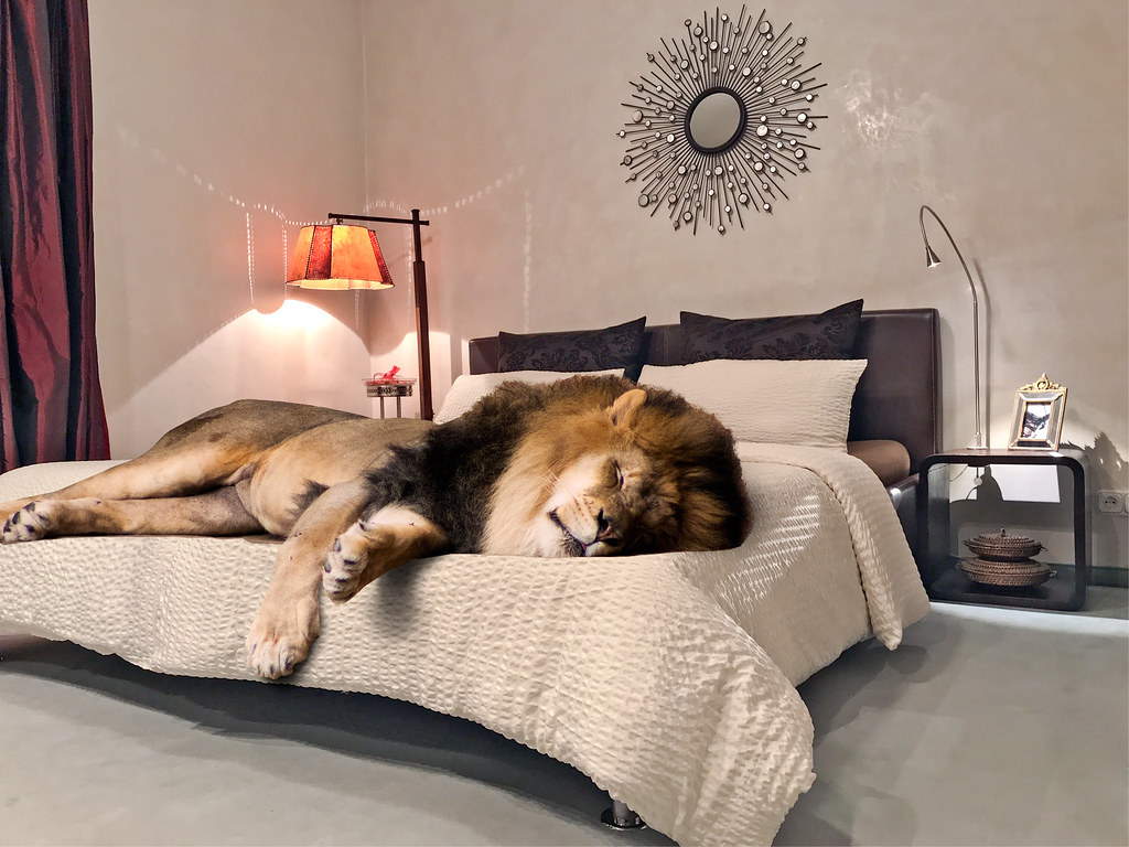 Airbnb Adds Hotels and Travel Services in 2026 Airbnb Adds Hotels and Travel Services in 2026
