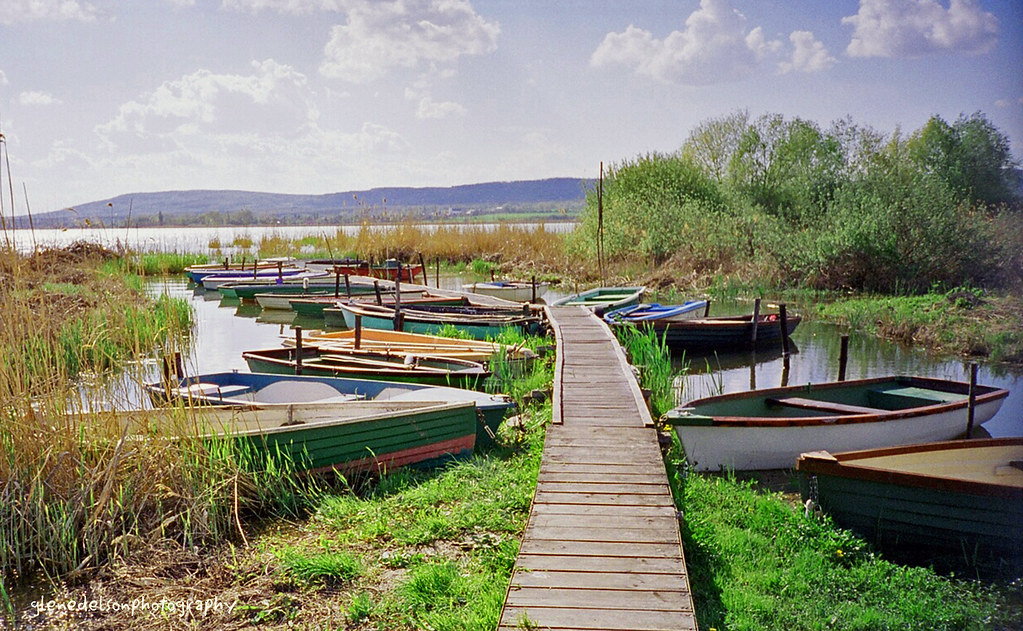 balaton-wins-top-international-family-travel-award Balaton Wins Top International Family Travel Award