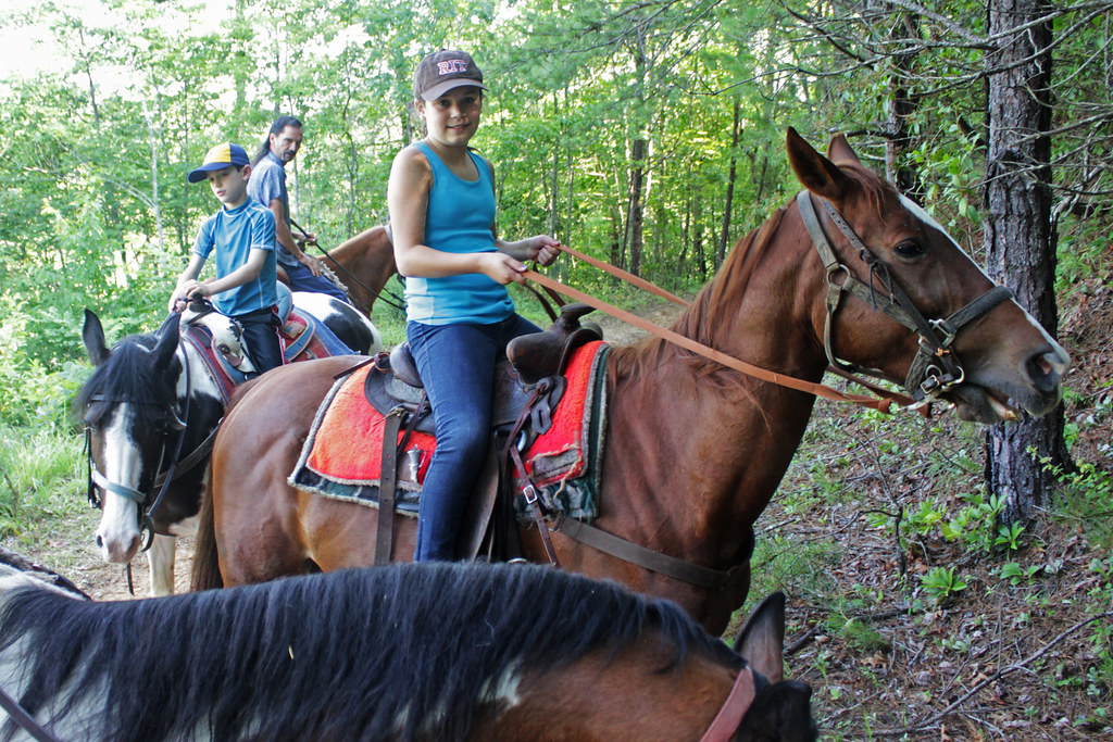Budget-Friendly Smoky Mountains Trip with Aquarium Visit Budget-Friendly Smoky Mountains Trip with Aquarium Visit