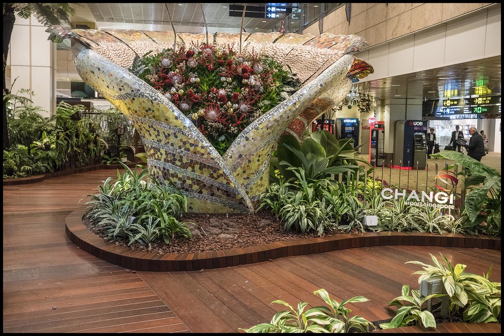Eight Major Flights Cancelled in Singapore Disrupting Key International Routes Eight Major Flights Cancelled in Singapore Disrupting Key International Routes