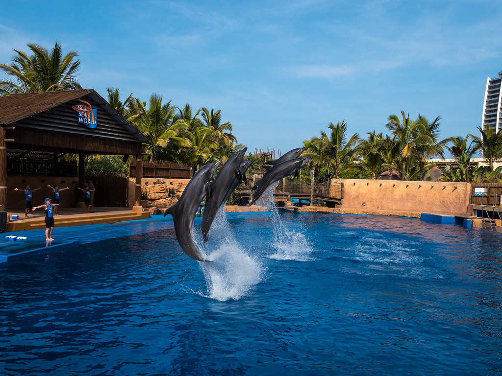 hilton-announces-102-key-umfolozi-river-hotel-in-kwazulu-natal Hilton Announces 102-Key Umfolozi River Hotel in KwaZulu Natal
