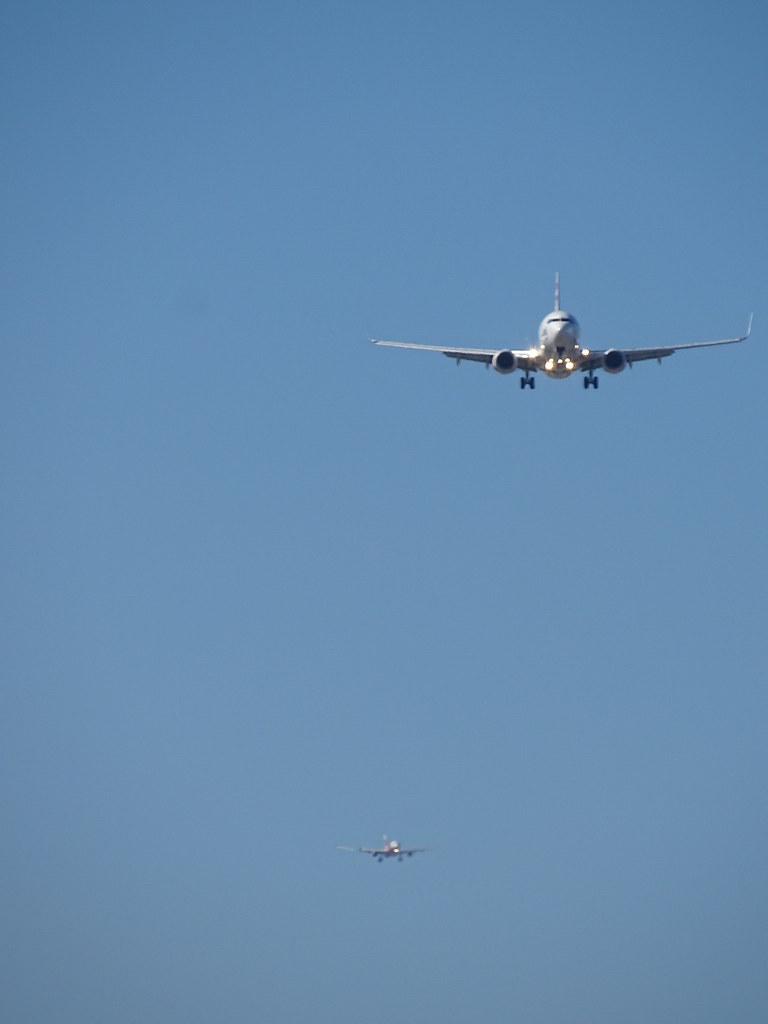 hundreds-of-flight-delays-and-cancellations-across-australia-and-new-z Hundreds of Flight Delays and Cancellations Across Australia and New Zealand