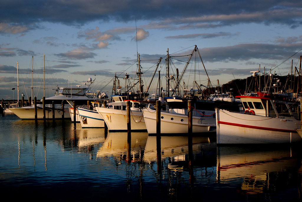 kiama-wins-nsw-top-town-award-2026-for-third-consecutive-year Kiama Wins NSW Top Town Award 2026 for Third Consecutive Year