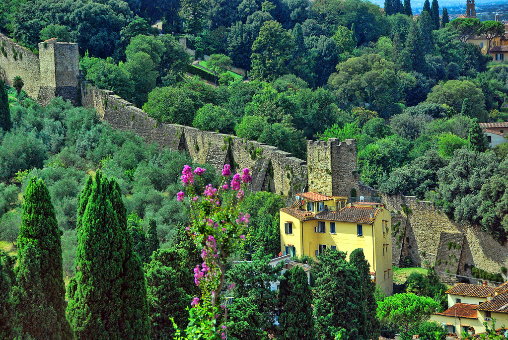 TRISH HARTMANN Mass Tourism Alters Florence’s Cultural Landscape and Visitor Experience