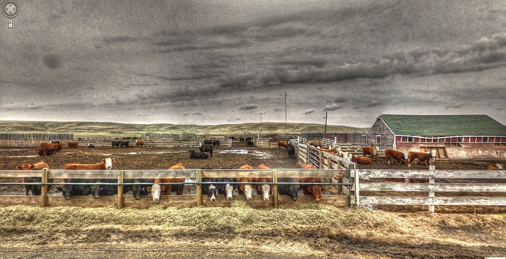 Memorial Day Travel Warnings for U.S.-Canada Border Impacting American Travelers Memorial Day Travel Warnings for U.S.-Canada Border Impacting American Travelers