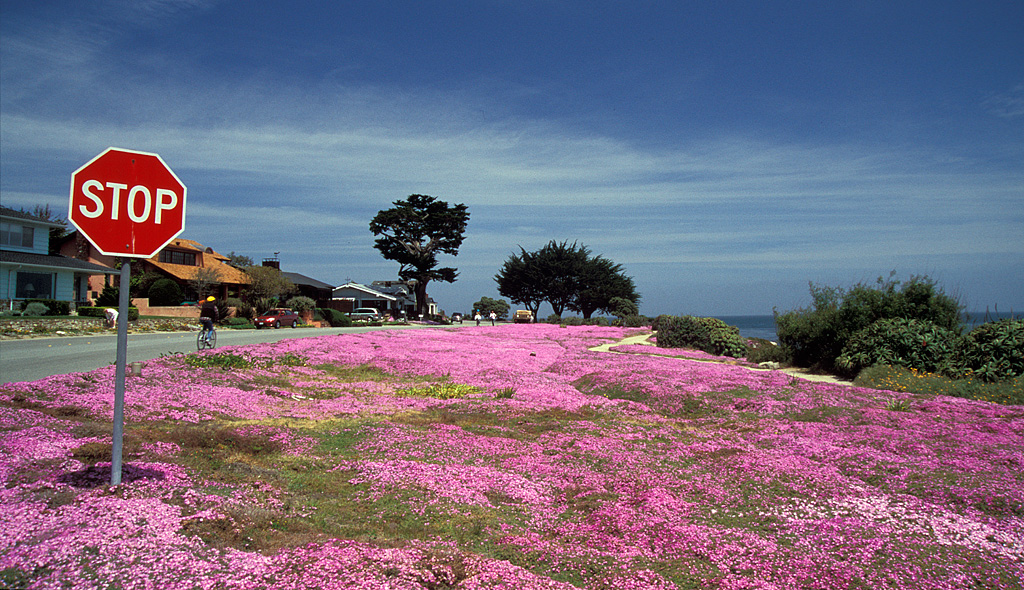 Monterey County Hits $3.3 Billion Tourism Revenue in 2026, Signaling Full Recovery Monterey County Hits $3.3 Billion Tourism Revenue in 2026, Signaling Full Recovery