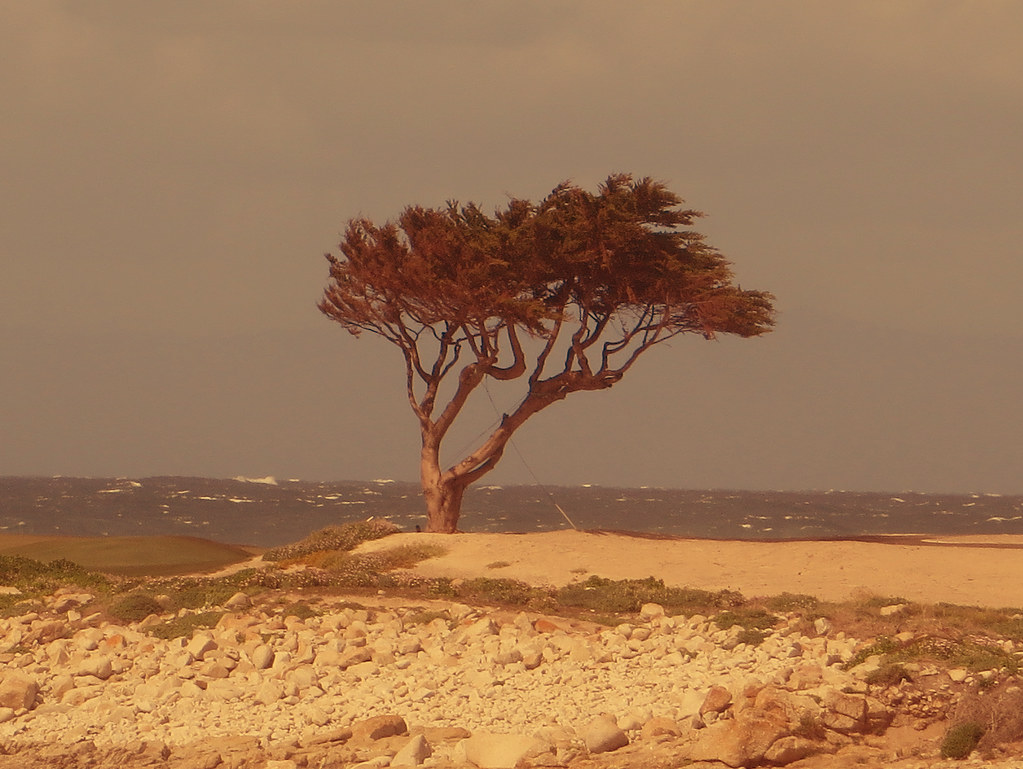 Monterey County Hits $3.3B Tourism Revenue in 2026 Monterey County Hits $3.3B Tourism Revenue in 2026