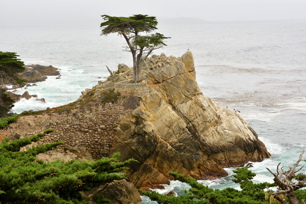 Monterey County Hits $3.3B Tourism Revenue Record Monterey County Hits $3.3B Tourism Revenue Record