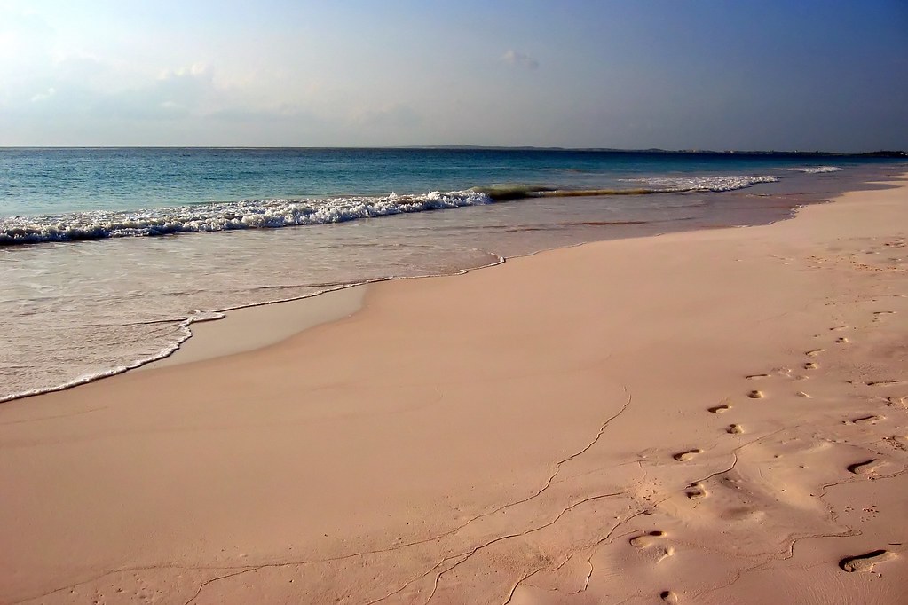 Saint Kitts and Nevis Highlighted for Tourism Growth at Caribbean Travel Marketplace 2026 Saint Kitts and Nevis Highlighted for Tourism Growth at Caribbean Travel Marketplace 2026