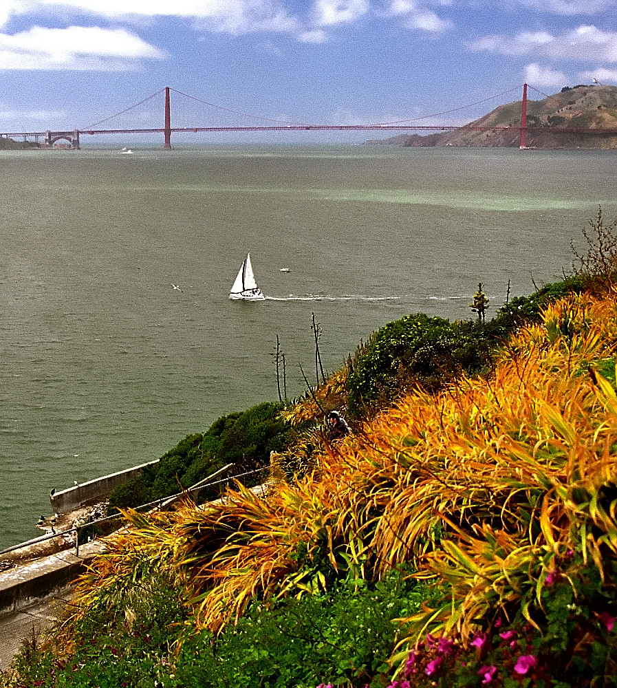 San Francisco Tourism Recovers with Memorial Day Crowds San Francisco Tourism Recovers with Memorial Day Crowds
