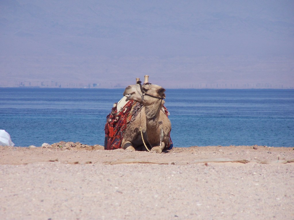saudi-arabia-launches-miraval-s-first-global-wellness-resort-at-the-re Saudi Arabia Launches Miraval’s First Global Wellness Resort at The Red Sea