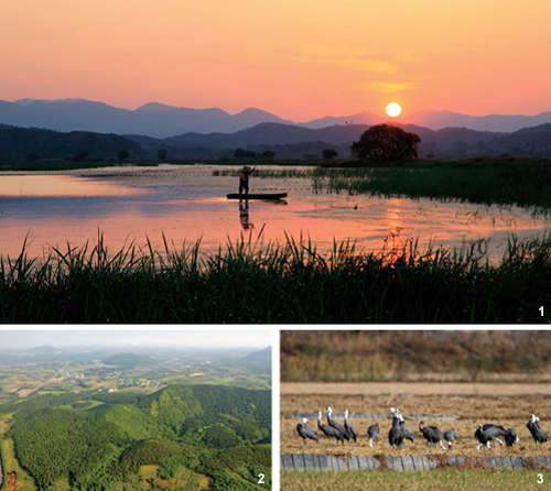 South Korea Joins Global Life-Extension Tourism Hubs: U.S. Traveler Guide South Korea Joins Global Life-Extension Tourism Hubs: U.S. Traveler Guide