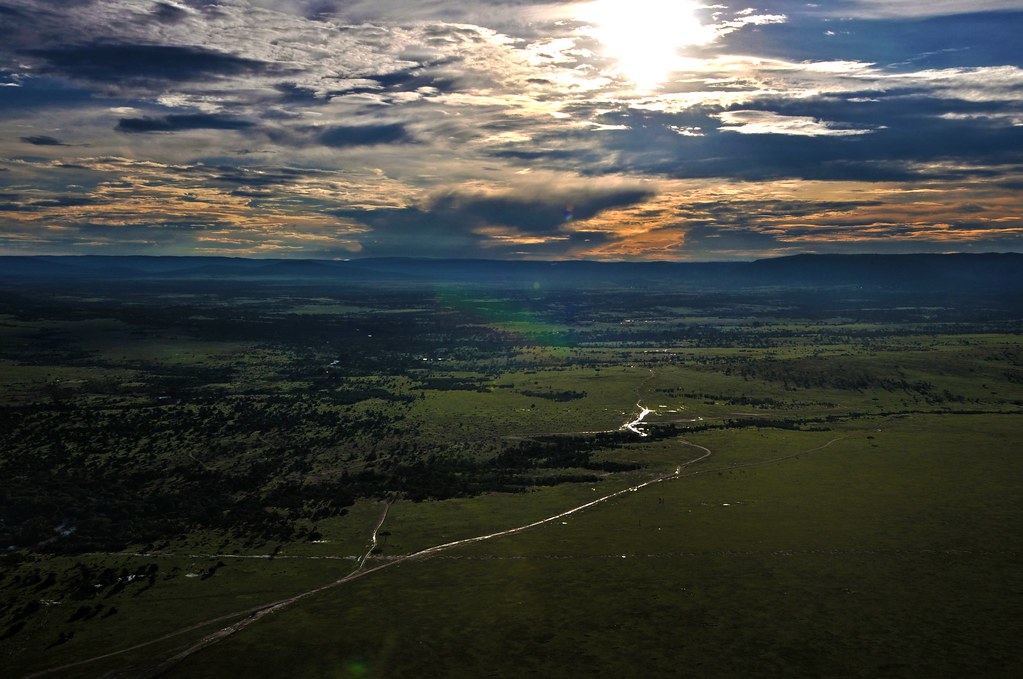 tanzania-s-ai-travel-companion-enhances-visitor-services-ahead-of-afco Tanzania's AI Travel Companion Enhances Visitor Services Ahead of AFCON 2027