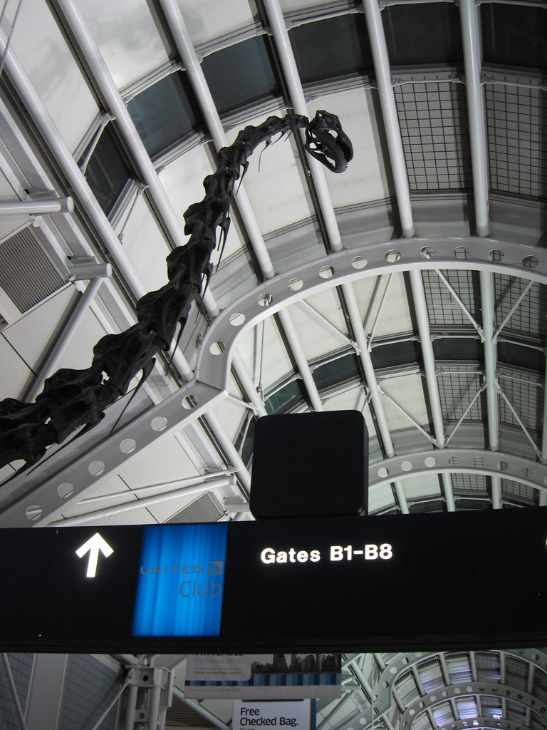 United Airlines Alerts Travelers to East Coast Airport Disruptions Before Memorial Day United Airlines Alerts Travelers to East Coast Airport Disruptions Before Memorial Day