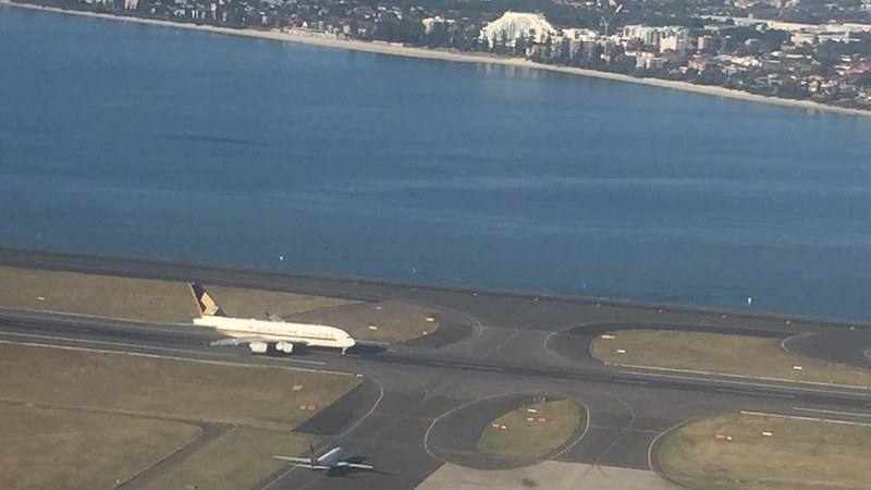 260+ Flight Disruptions Hit Australian Cities June 17, 2026 260+ Flight Disruptions Hit Australian Cities June 17, 2026