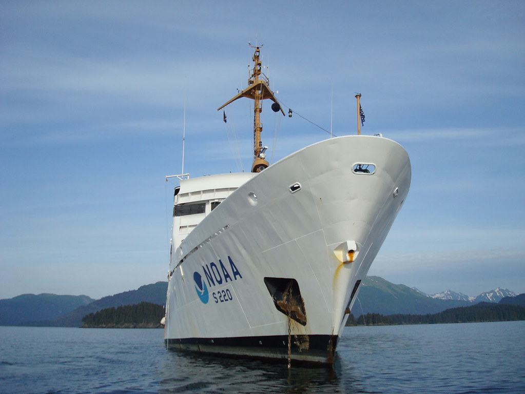 Alaska Cruise Launches Whale Strike Prevention Program Alaska Cruise Launches Whale Strike Prevention Program