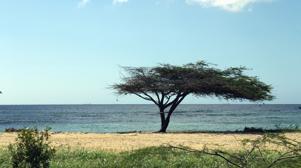 Aruba Tops Caribbean Destinations for US Tourist Arrivals in 2026 Aruba Tops Caribbean Destinations for US Tourist Arrivals in 2026