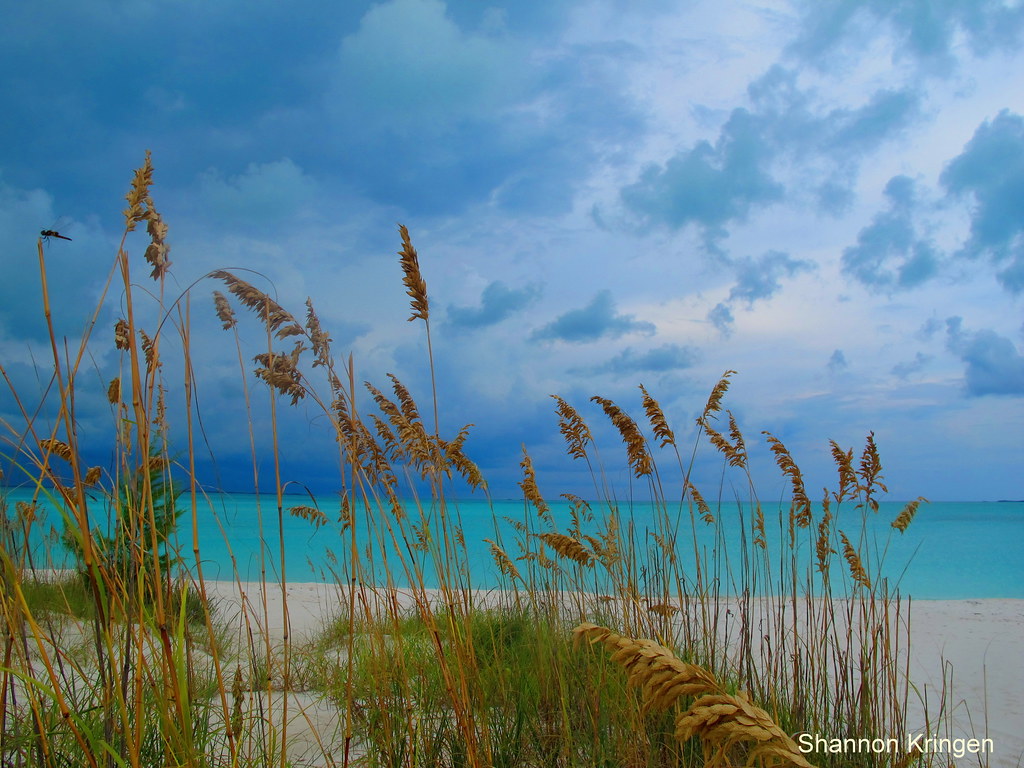 Bahamas Features in Summer Airfare Deals Across Americas Bahamas Features in Summer Airfare Deals Across Americas