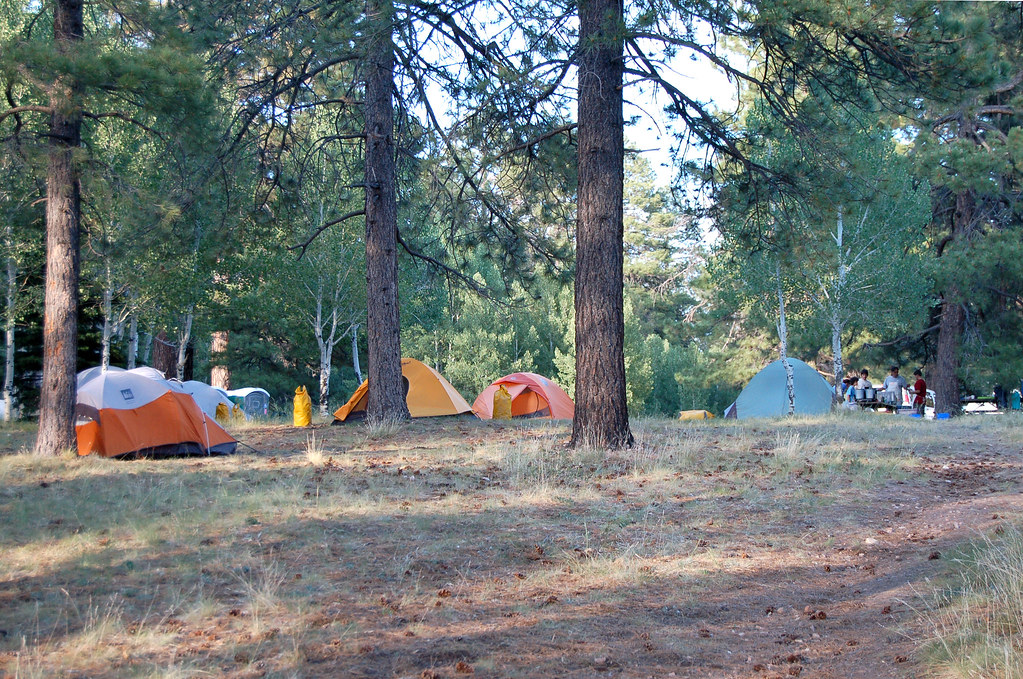camping-tops-usa-summer-travel-trends-2026-pitchup-com-finds Camping Tops USA Summer Travel Trends 2026, Pitchup.com Finds