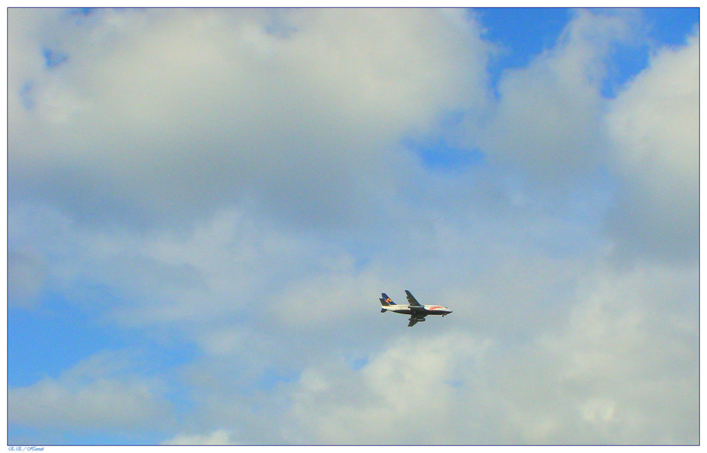 Expert Tips to Navigate Increasing Flight Prices Expert Tips to Navigate Increasing Flight Prices