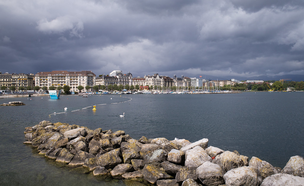 geneva-to-host-2026-european-academy-of-neurology-congress Geneva to Host 2026 European Academy of Neurology Congress