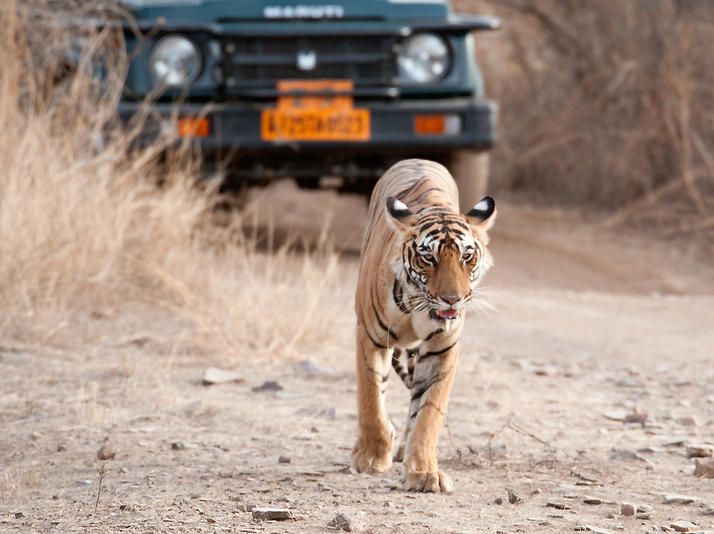 itb-china-2026-sees-luxury-and-adventure-tourism-surge ITB China 2026 Sees Luxury and Adventure Tourism Surge