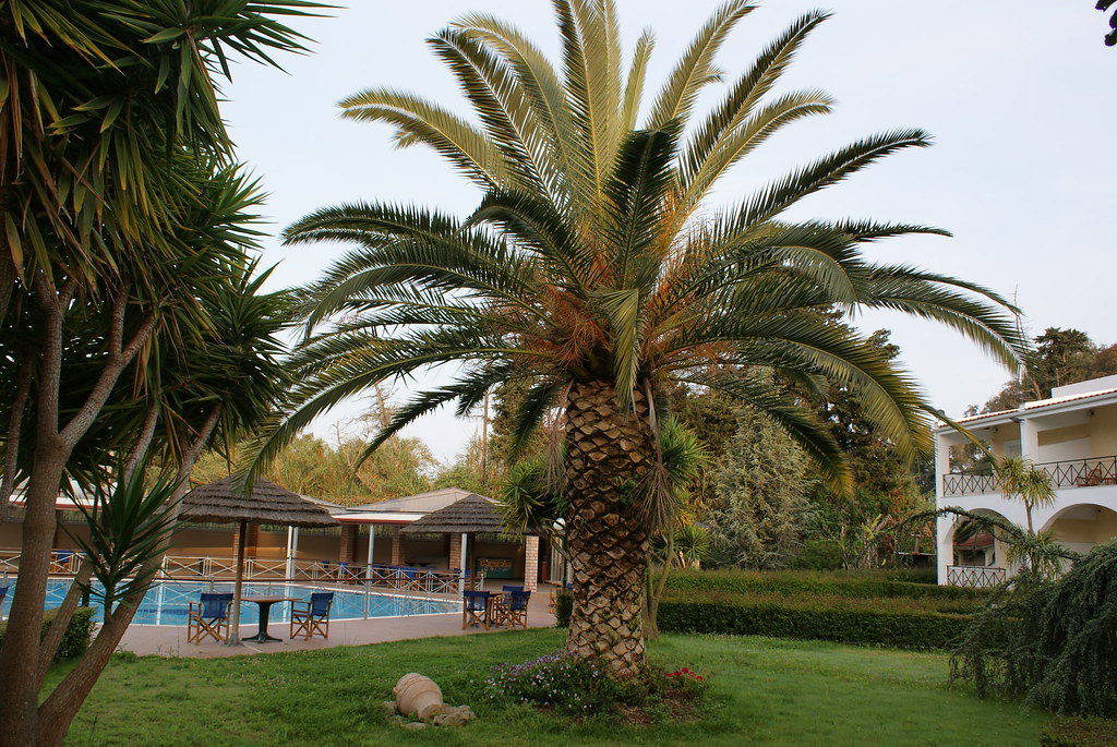 mgallery-opens-kove-hotel-in-greece MGallery Opens Kove Hotel in Greece