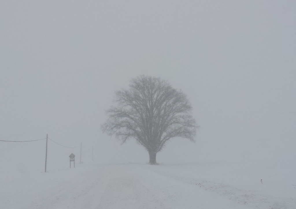Midwest Storm Triggers Power Outages and 1,000+ Flight Delays at US Airports Midwest Storm Triggers Power Outages and 1,000+ Flight Delays at US Airports