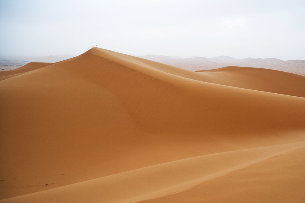 Morocco welcomes 7.7 million tourists through May 2026 Morocco welcomes 7.7 million tourists through May 2026