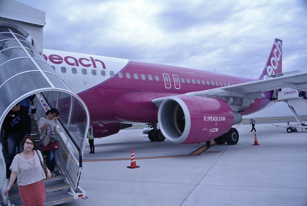 Peach Aviation Trains Students at Kansai Airport on Travel Chaos Peach Aviation Trains Students at Kansai Airport on Travel Chaos