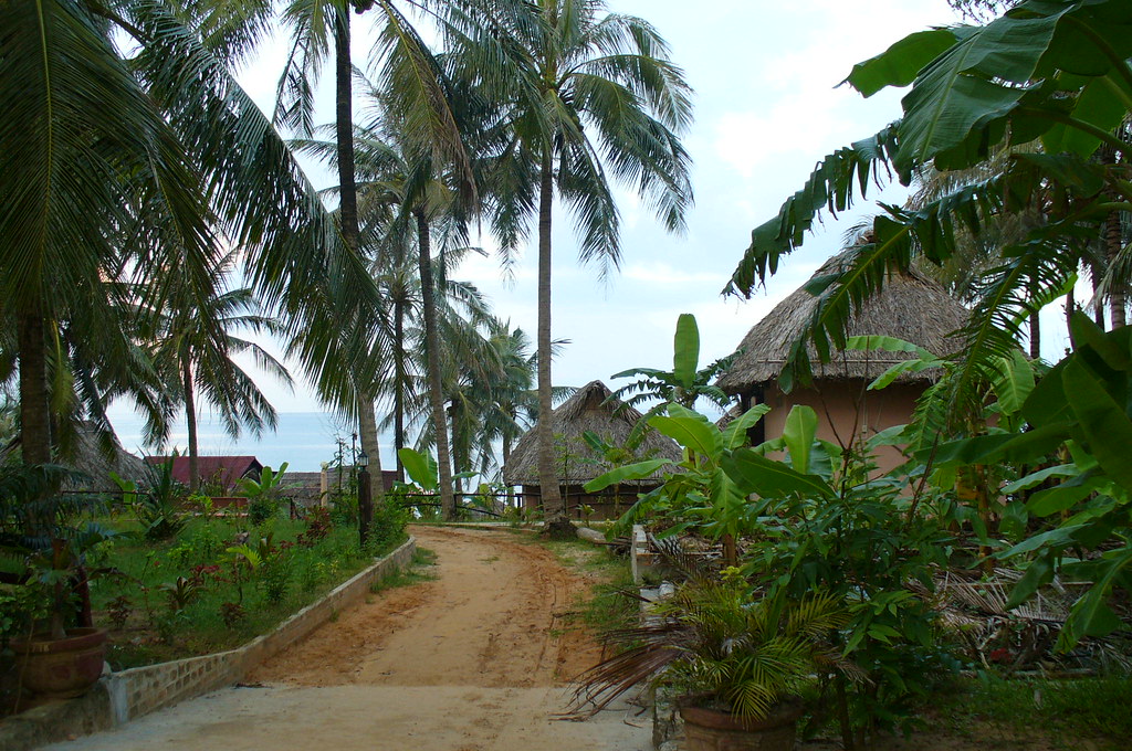 Phu Quoc Sees 51% Rise in Foreign Tourist Arrivals Before APEC 2027 Phu Quoc Sees 51% Rise in Foreign Tourist Arrivals Before APEC 2027