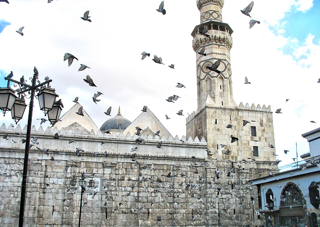 Syria Launches 2026 Summer Tourism Season to Boost Economy Syria Launches 2026 Summer Tourism Season to Boost Economy