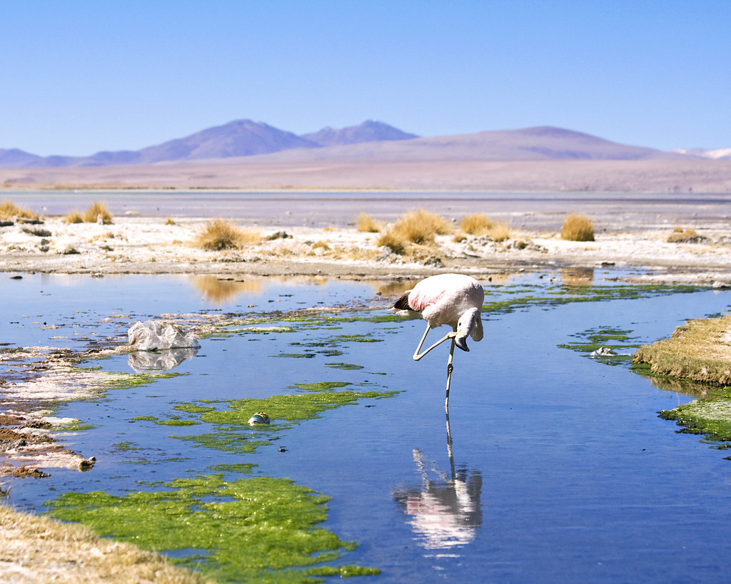 wttc-forecasts-central-and-south-america-tourism-growth-to-outpace-glo WTTC Forecasts Central and South America Tourism Growth to Outpace Global Rate