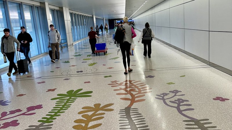 Flight Disruptions Hit Phoenix Sky Harbor on July 5, 2026 Flight Disruptions Hit Phoenix Sky Harbor on July 5, 2026