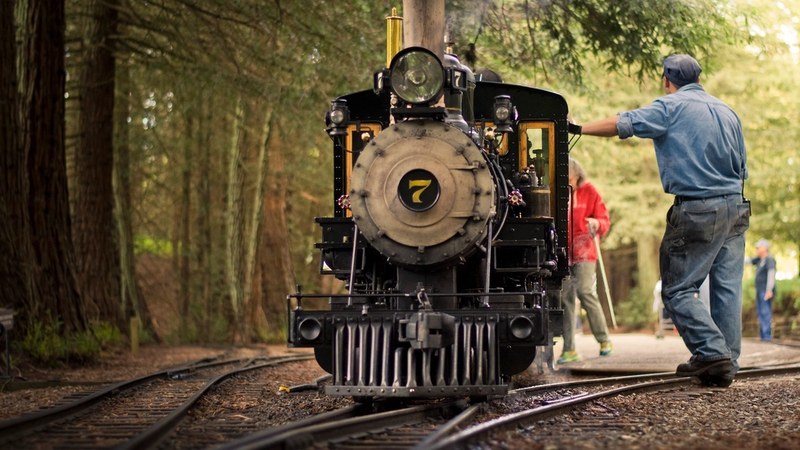 Wildfires in Northwestern Ontario Lead to CN Rail Crew Evacuation and Service Suspension Wildfires Cause Rail Service Disruptions Across Canada
