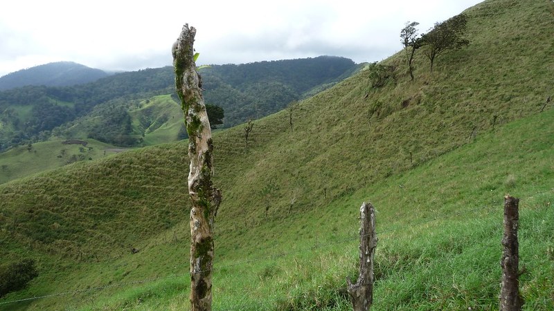 Costa Rica Achieves Record International Tourist Arrivals in H1 2026 Costa Rica Achieves Record International Tourism in H1 2026
