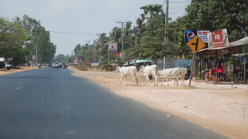 Cambodia Tourism Falls 16.9% in 2025 Amid Thai Border Closure Domestic Tourism Cushions Cambodia Amid Thai Border Issues