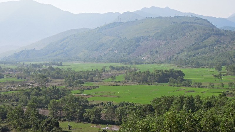 Dong Thap Province Plans to Welcome 50 Million Visitors Between 2026 and 2030 Dong Thap Aims for 50 Million Visitors as Tourism Key Industry