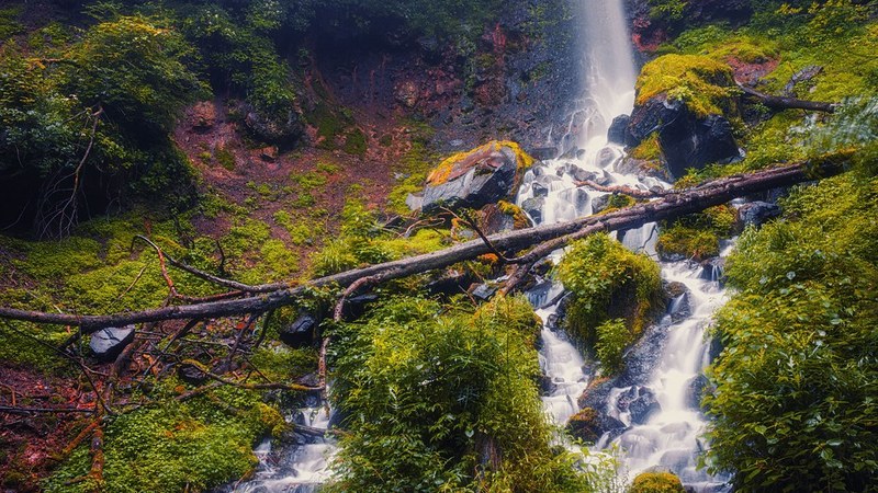 Jammu and Kashmir Tourism Visitor Count Nearly Doubles to 7.85 Crore by 2023–25 J&K tourism surges to 7.85 crore visitors in 2023–25