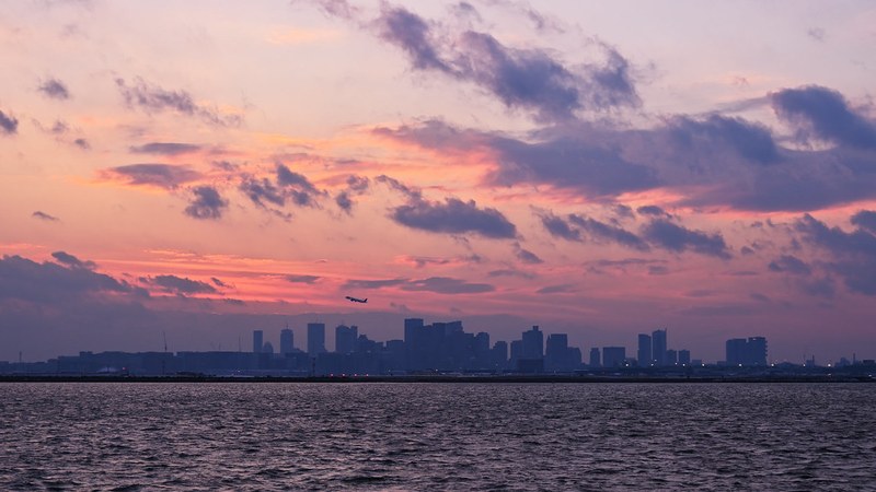 JetBlue Leads US Flight Cancellations as Over 775 Flights Delayed on August 26, 2026 JetBlue leads US flight cancellations amid 775+ delays today