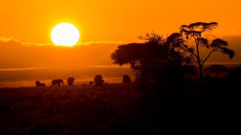 Kenya’s Tourism Revenue Reaches Sh564 Billion in 2026 Kenya Tourism Revenue Hits Sh564 Billion as Visitor Numbers Surge