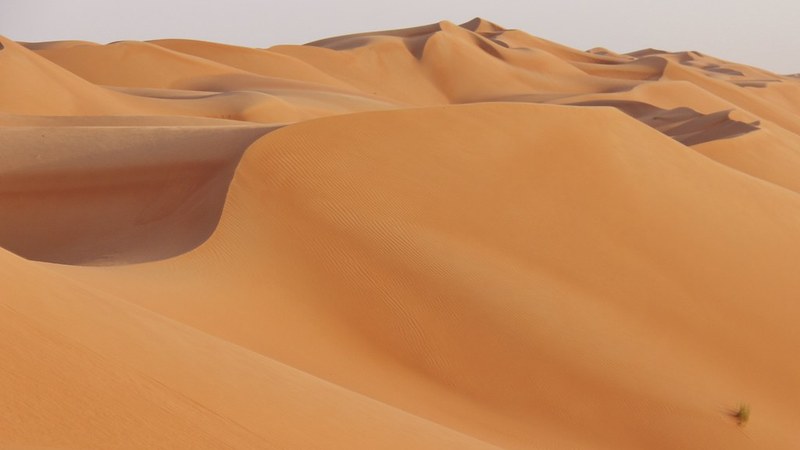 New Selection Process for NZ Parent Resident Visas from October 2026 Oman Launches Free 14-Day Tourist Visa from August 2026
