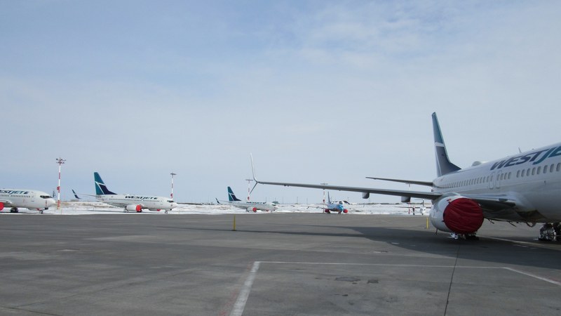 WestJet Strike Grounds 300+ Flights, 250,000 Passengers Affected August 2, 2026 WestJet Strike Affects 250,000 Travellers with Hundreds of Flight Cancellations
