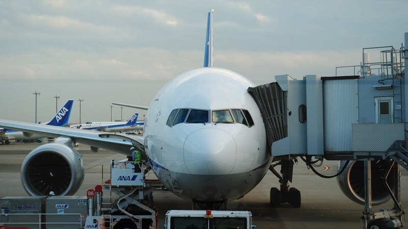 WestJet Flight Attendants Strike Cancels 600+ Flights in Canada WestJet Strike Grounds 300+ Flights Affecting 250,000 Passengers