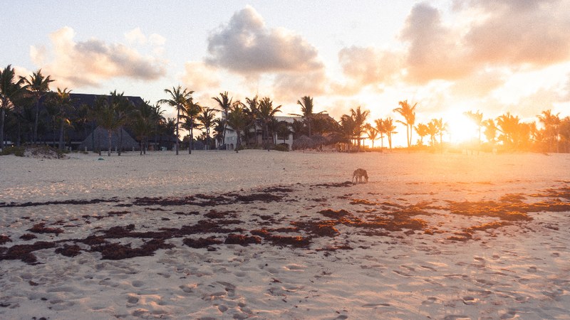 BermudAir Launches Direct Flights to South Caicos and Caribbean Islands BermudAir Launches Direct Caribbean Flights from $347