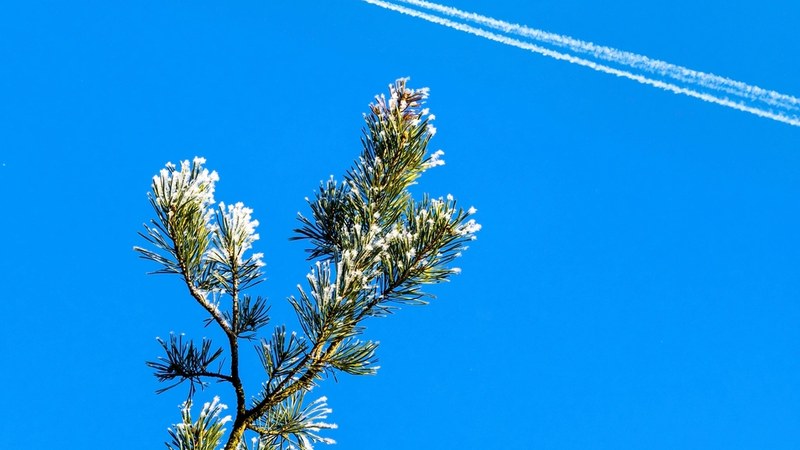 Cathay Pacific and Google Expand AI Trials to Reduce Contrails Cathay Pacific, Google Extend AI Tests to Cut Aircraft Contrails
