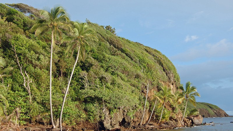 Dominica Targets EC$1 Billion Tourism Industry with EC$405 Million Revenue Dominica Aims for EC$1 Billion Tourism Industry Amid Revenue Growth