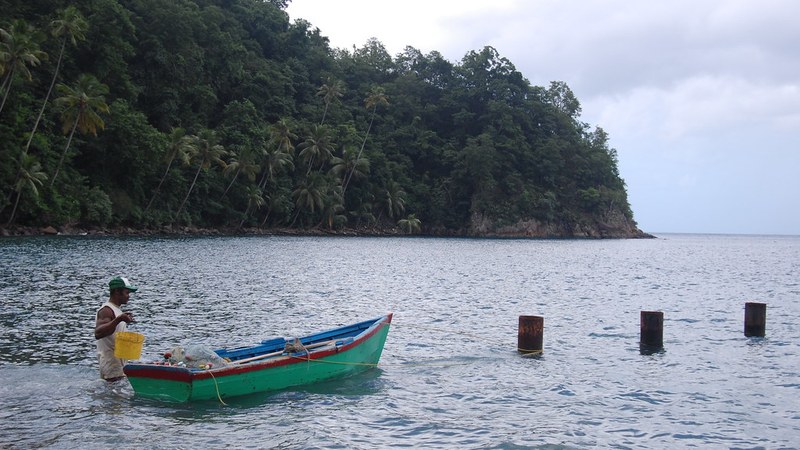 Dominica Aims for EC$1 Billion Tourism Industry as Revenues Reach EC$405 Million Dominica Targets EC$1 Billion Tourism Sector as Revenues Climb