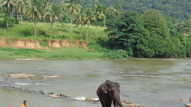 sri-lanka-reports-2-1-tourism-revenue-growth-in-august-2026 Sri Lanka Reports 2.1% Tourism Revenue Growth in August 2026