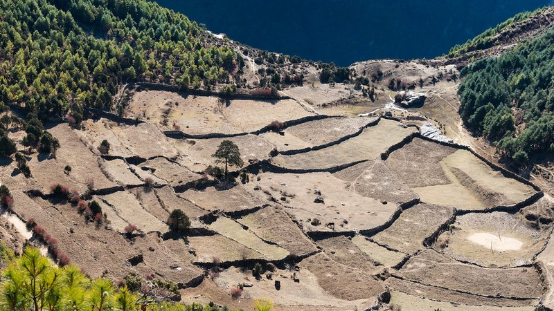 Nepal’s Domestic Tourism Surges as Foreign Arrivals Drop in Dashain 2026 Nepal's Domestic Tourism Boosts Market Despite Foreign Visitor Decline